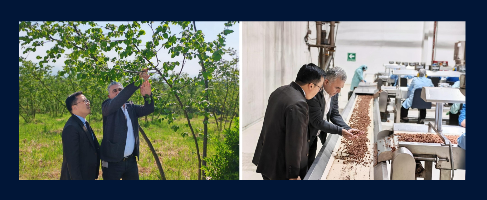 Consul General visited the Balsu facilities in Sakarya on 01 May 2026 to learn about the production process of Hazelnuts